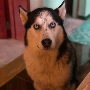 Meet your Posher, Eder